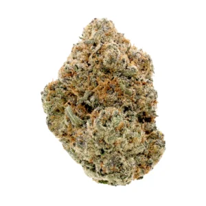 gumbo strain