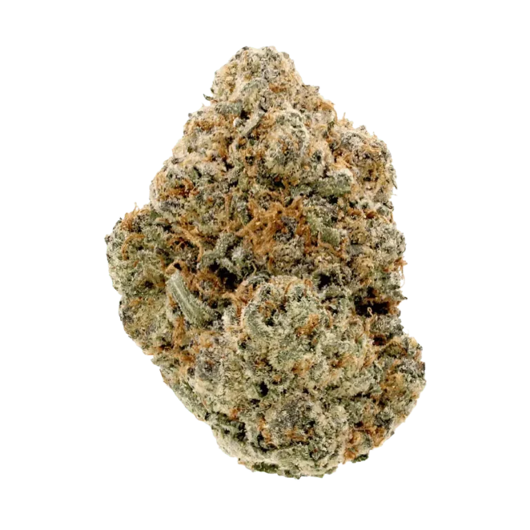 gumbo thca flower strain
