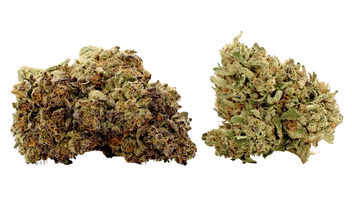 platinum bubba thca strain