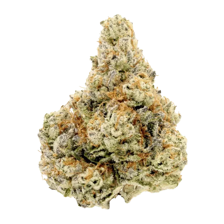 slap n tickle cannabis strain