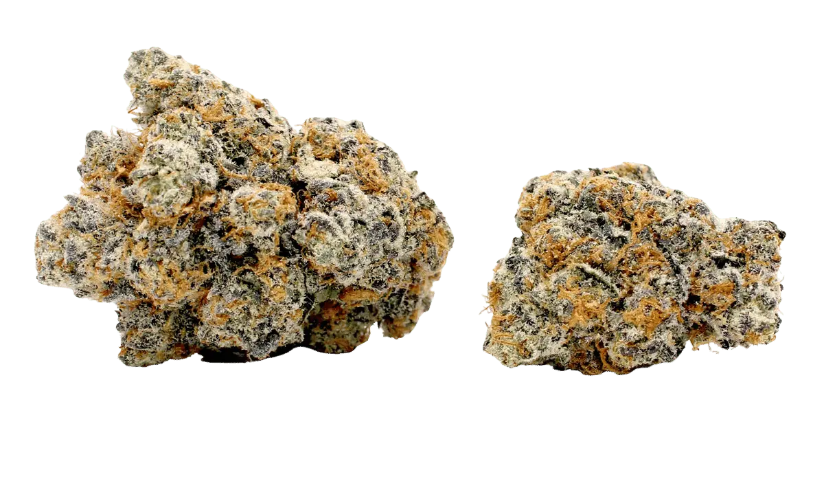 swiss watch cannabis strain