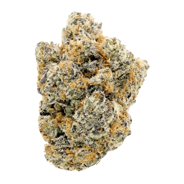 swiss watch thca flower strain