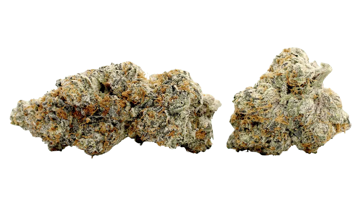 trap fuel flower strain
