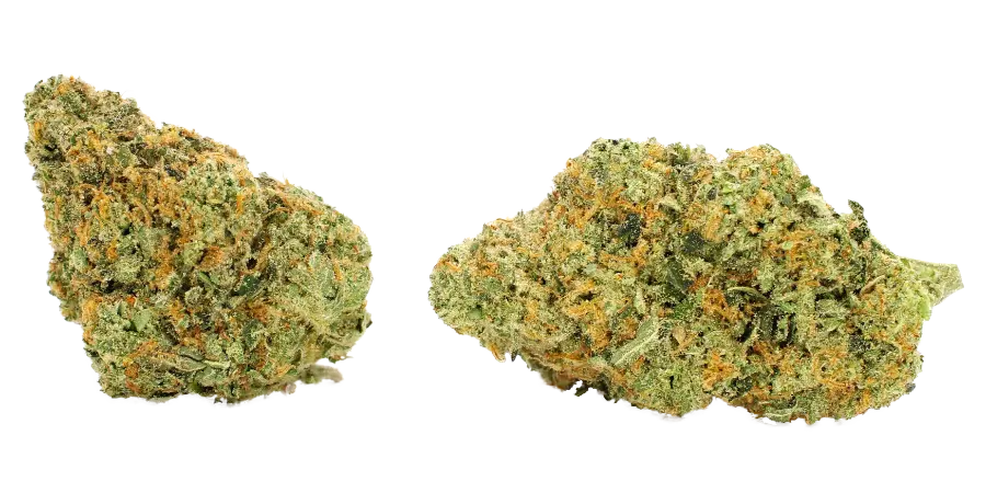 cherry pie thca strain