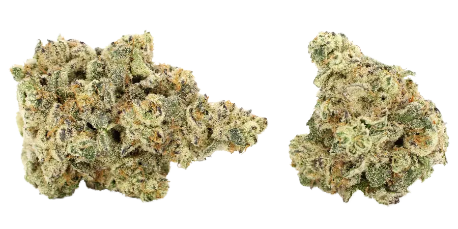 frog poison weed strain