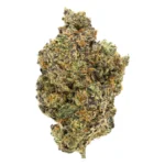 garlic runtz flower strain