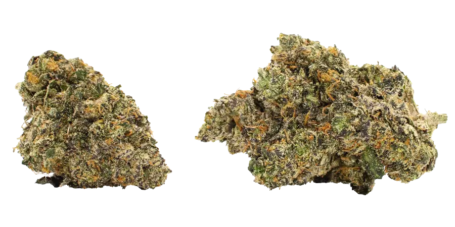 garlic runtz thca strain