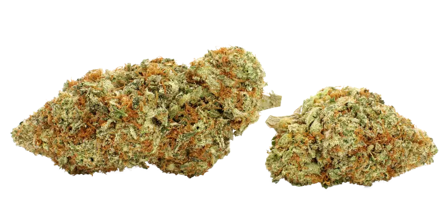 lava cake thca strain