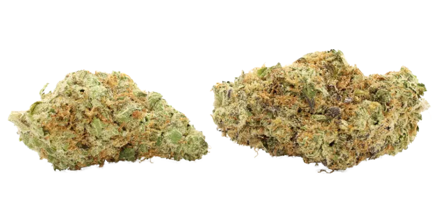 melted strawberries cannabis strain