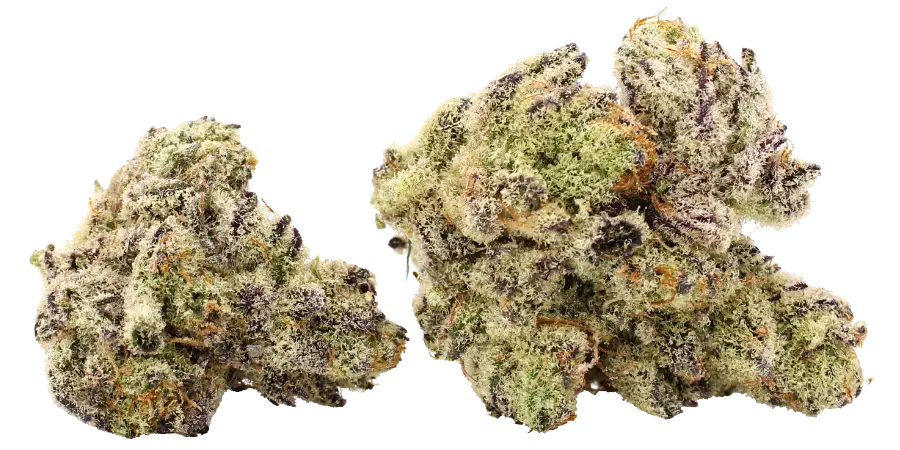 oklahoma cannabis strain