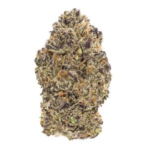 peyote purple flower strain