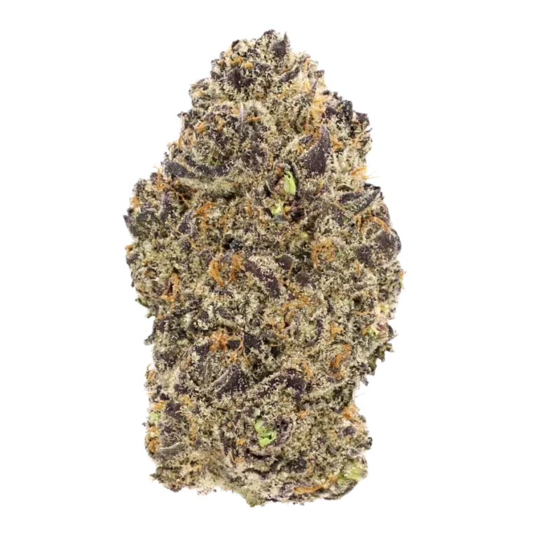 peyote purple strain