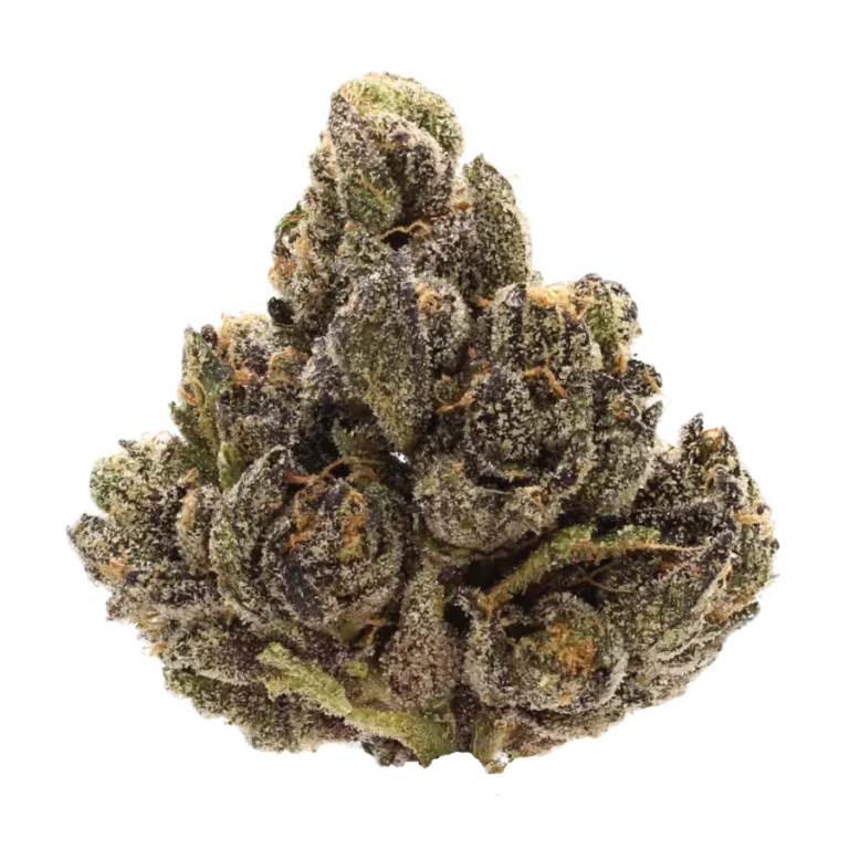 sour satori strain