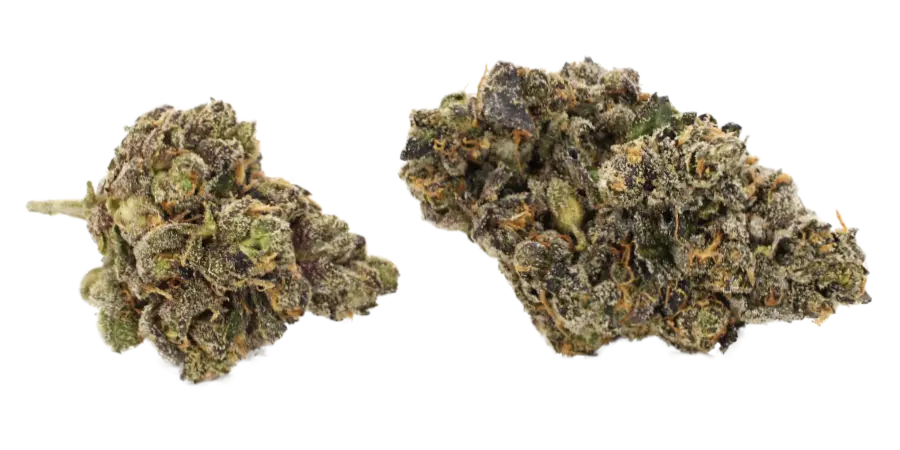 sour satori thca flower