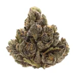 sour satori thca strain
