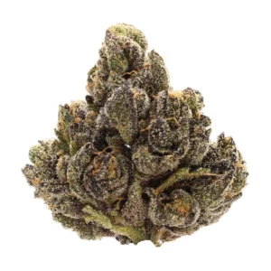 sour satori thca strain