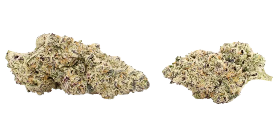 x10 cyborg flower strain