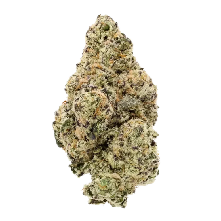 x10 cyborg strain