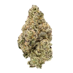 x10 cyborg thca strain