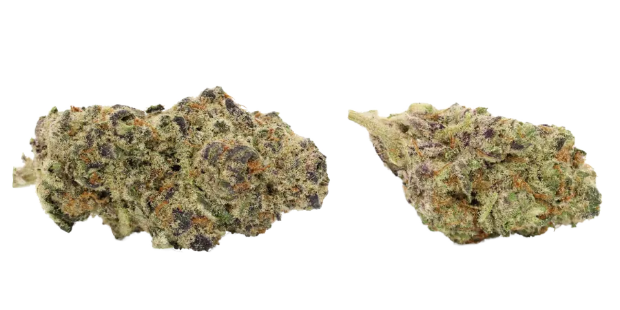 22zs thca strain