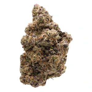 Blueberry Sugar Elite FLower