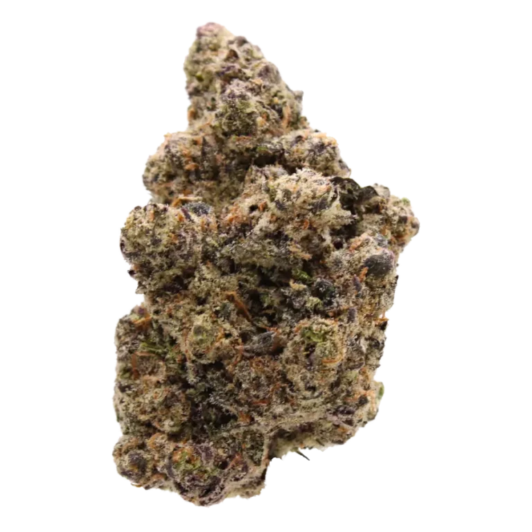 Blueberry Sugar Elite Flower