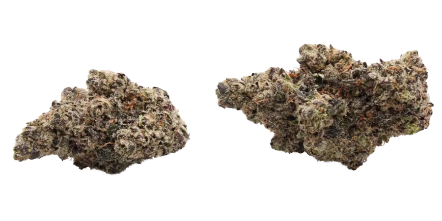 Frogzilla Elite Flower two buds