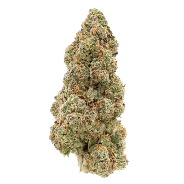 bio diesel cannabis strain