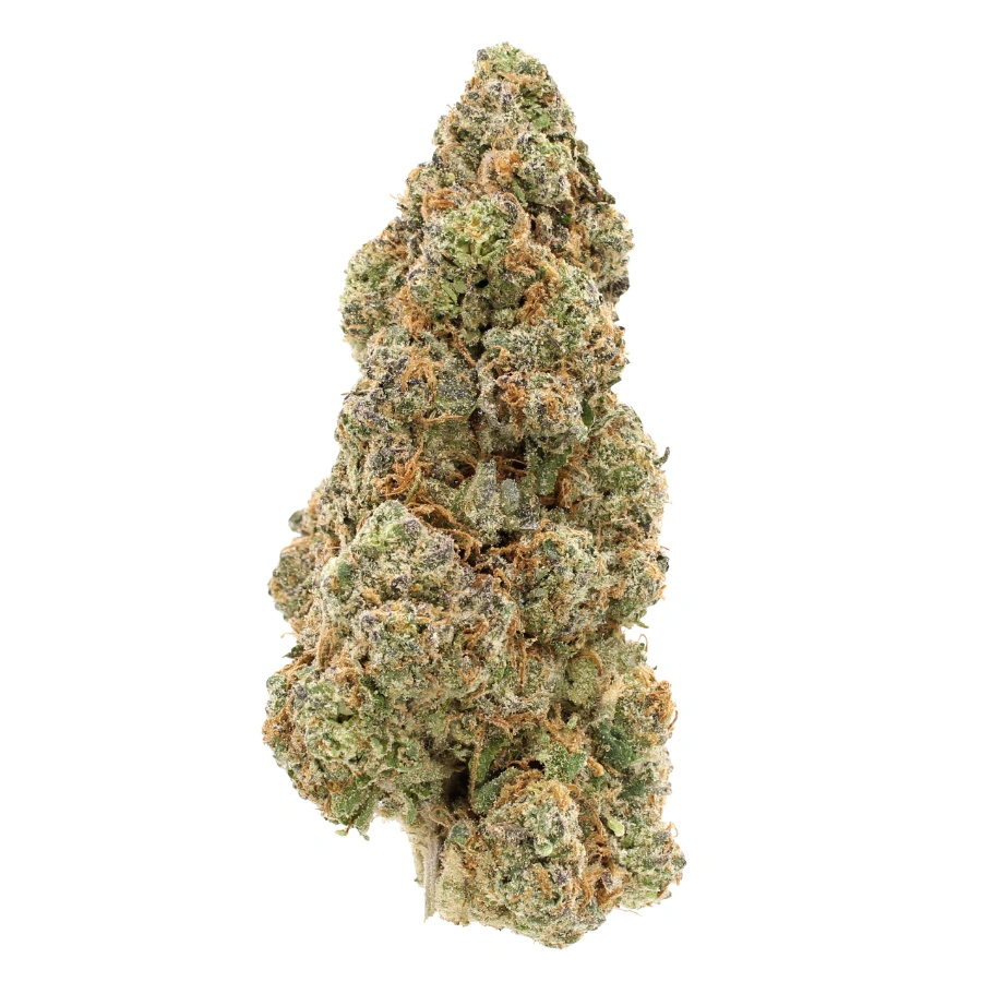 bio diesel strain