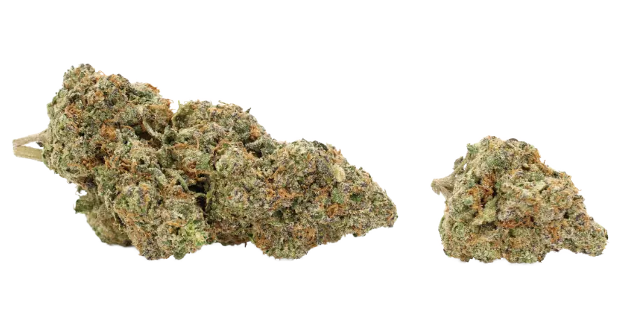 bio diesel thca flower