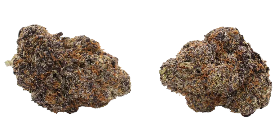 black cherry runtz flower strain