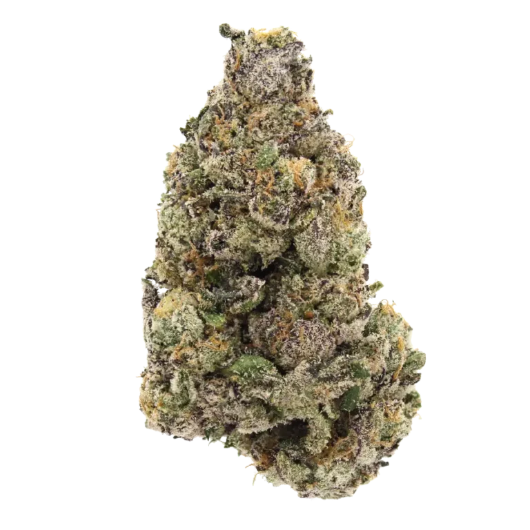 dirty runtz flower