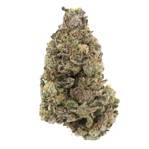 dirty runtz strain