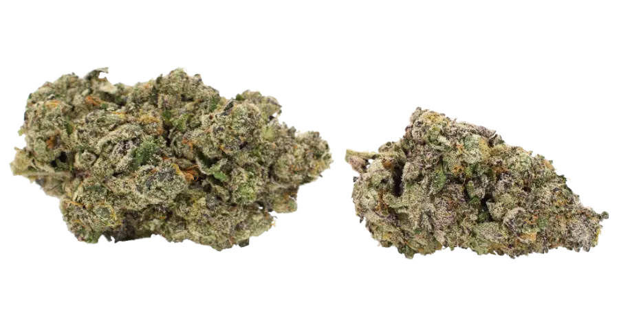 dirty runtz thca flower