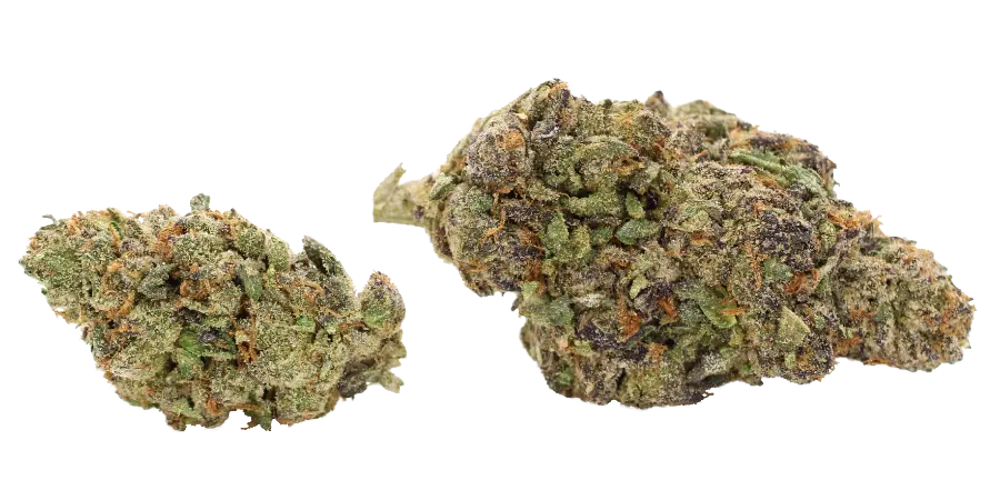 gastro pop thca flower