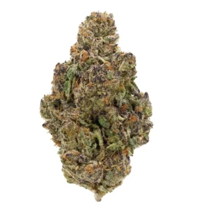 gastro pop thca strain