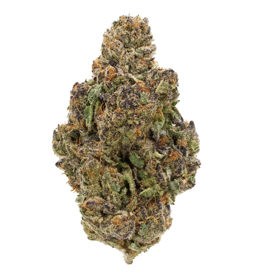 gastro pop thca strain