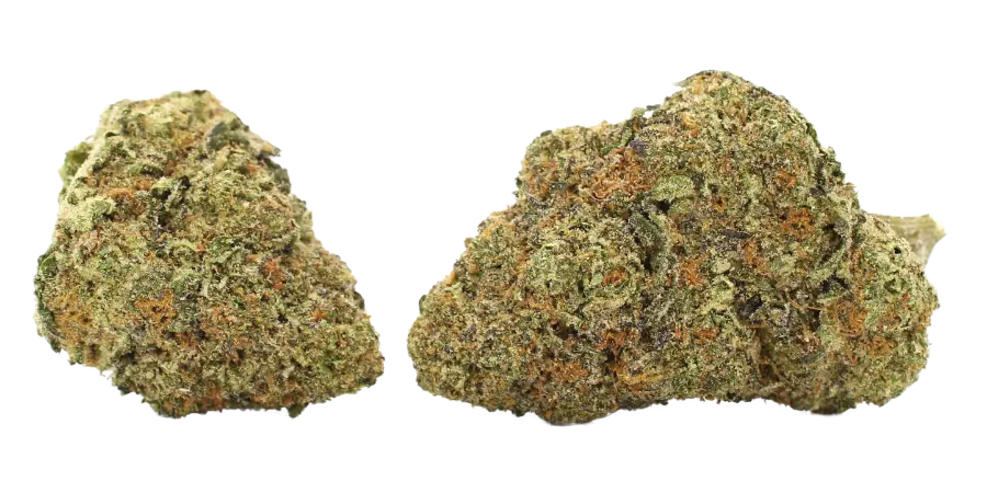 ice cream sundae flower strain