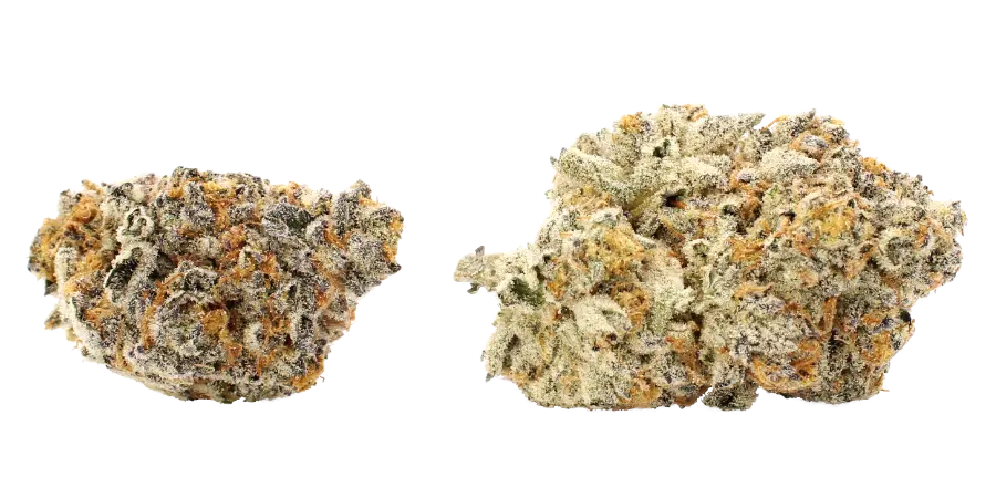 pie scream flower strain