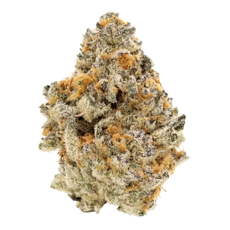 pie scream thca strain