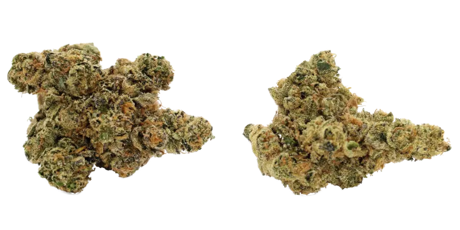 pink rozay flower strain