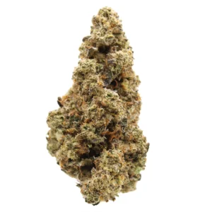 alien vortex strain