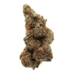 blue razz strain