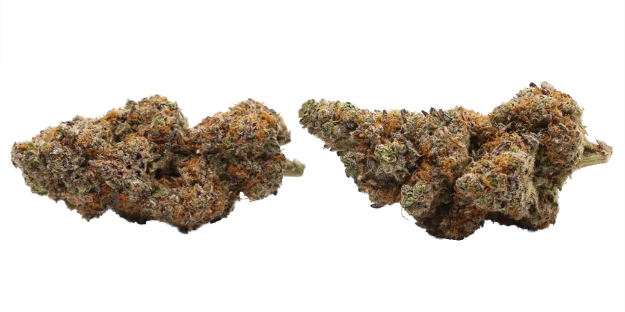 blue razz thca strain