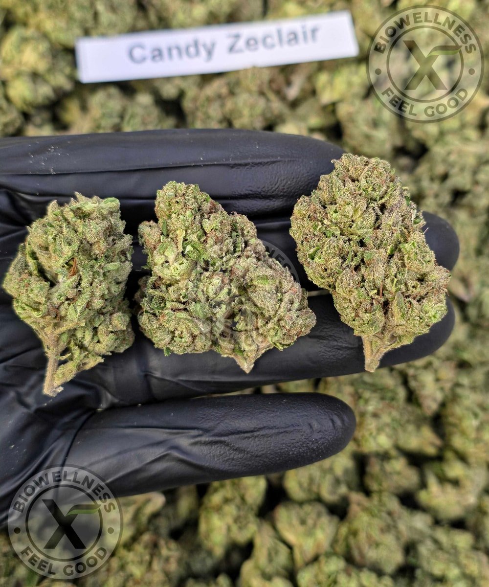Budget THCa Flower Without the Premium Price – Choose Your Type: Sativa, Step 2: Select Your Strain: Premium | Candy Zeclair (Sativa), Step 3: Pick Your Size: – 1 oz
