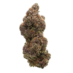 frozen marker strain