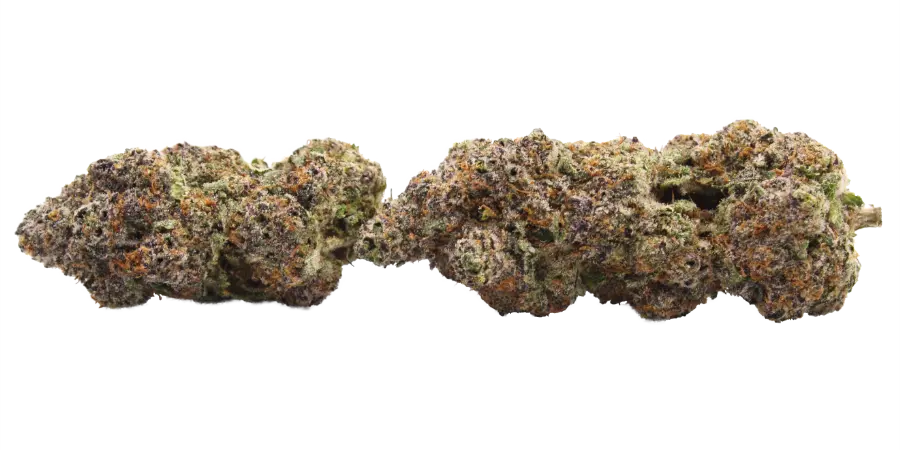 frozen marker thca strain