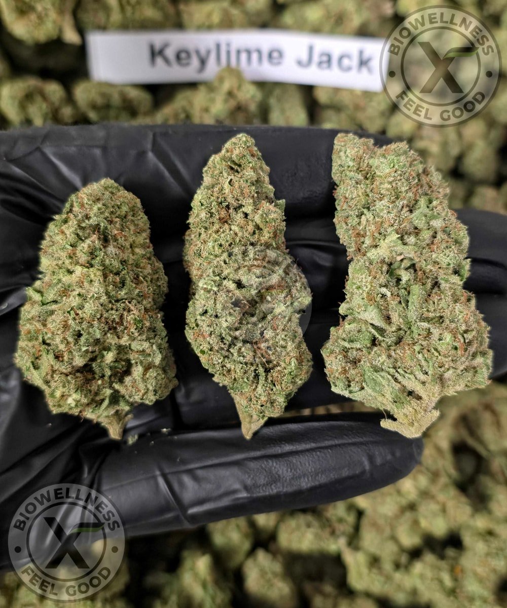 Budget THCa Flower Without the Premium Price – Choose Your Type: Hybrid, Step 2: Select Your Strain: Premium | Keylime Jack (Hybrid), Step 3: Pick Your Size: – 1 oz