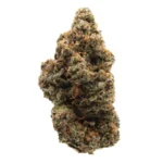 penzoil strain
