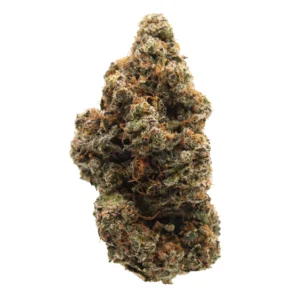 penzoil strain